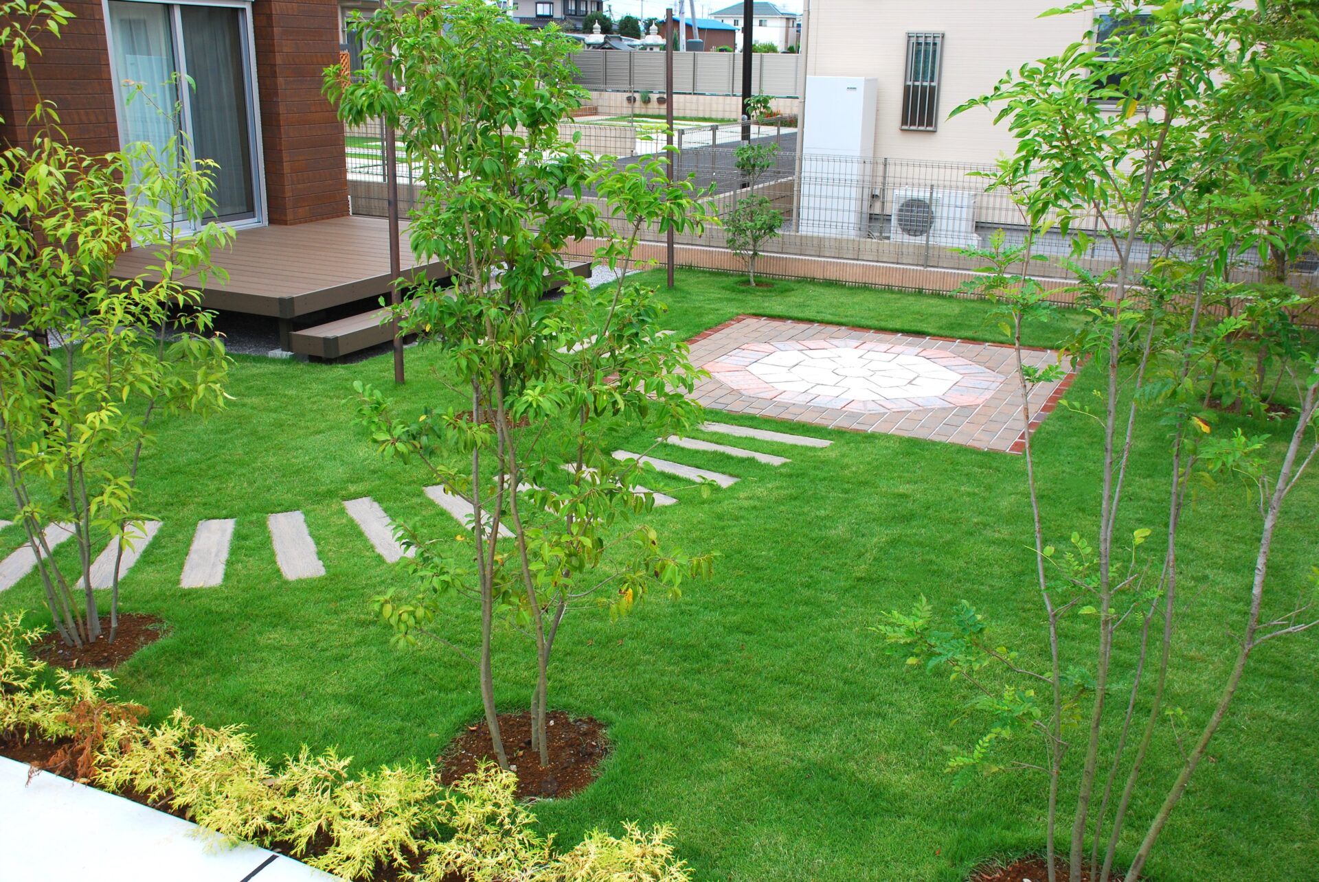 行田市　お庭が美しくなる　色鮮やかな緑の絨毯「TM9」