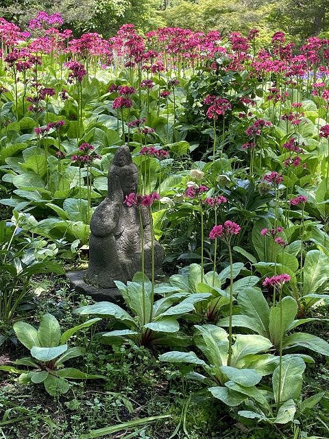 東京じゃないけど吉祥寺