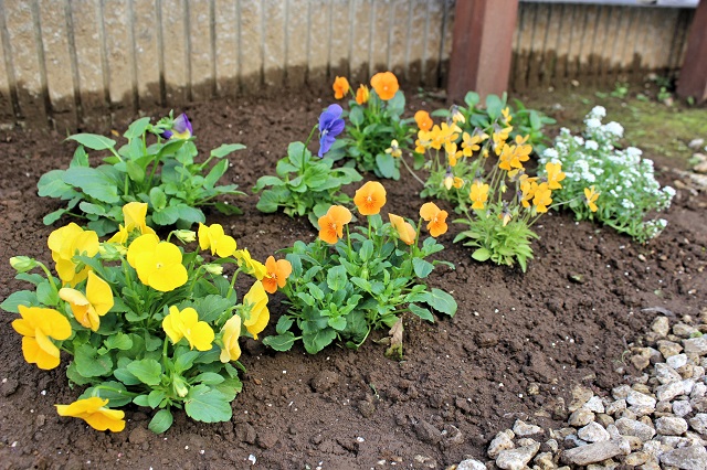 上尾市のナチュラルテイストにこだわった天然素材豊かなお庭の花壇