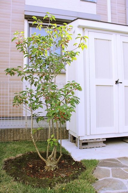 上尾市のナチュラルテイストにこだわった天然素材豊かなお庭の植栽