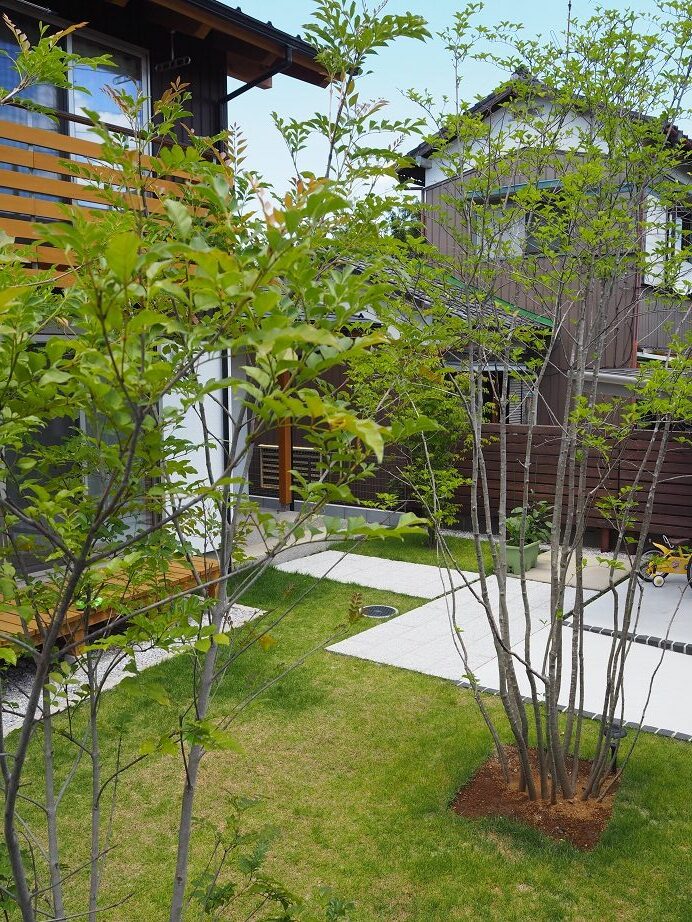熊谷市の御影石のアプローチと3本のシンボルツリーが印象的な和モダン外構の植栽