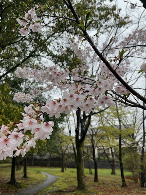 装い新たに