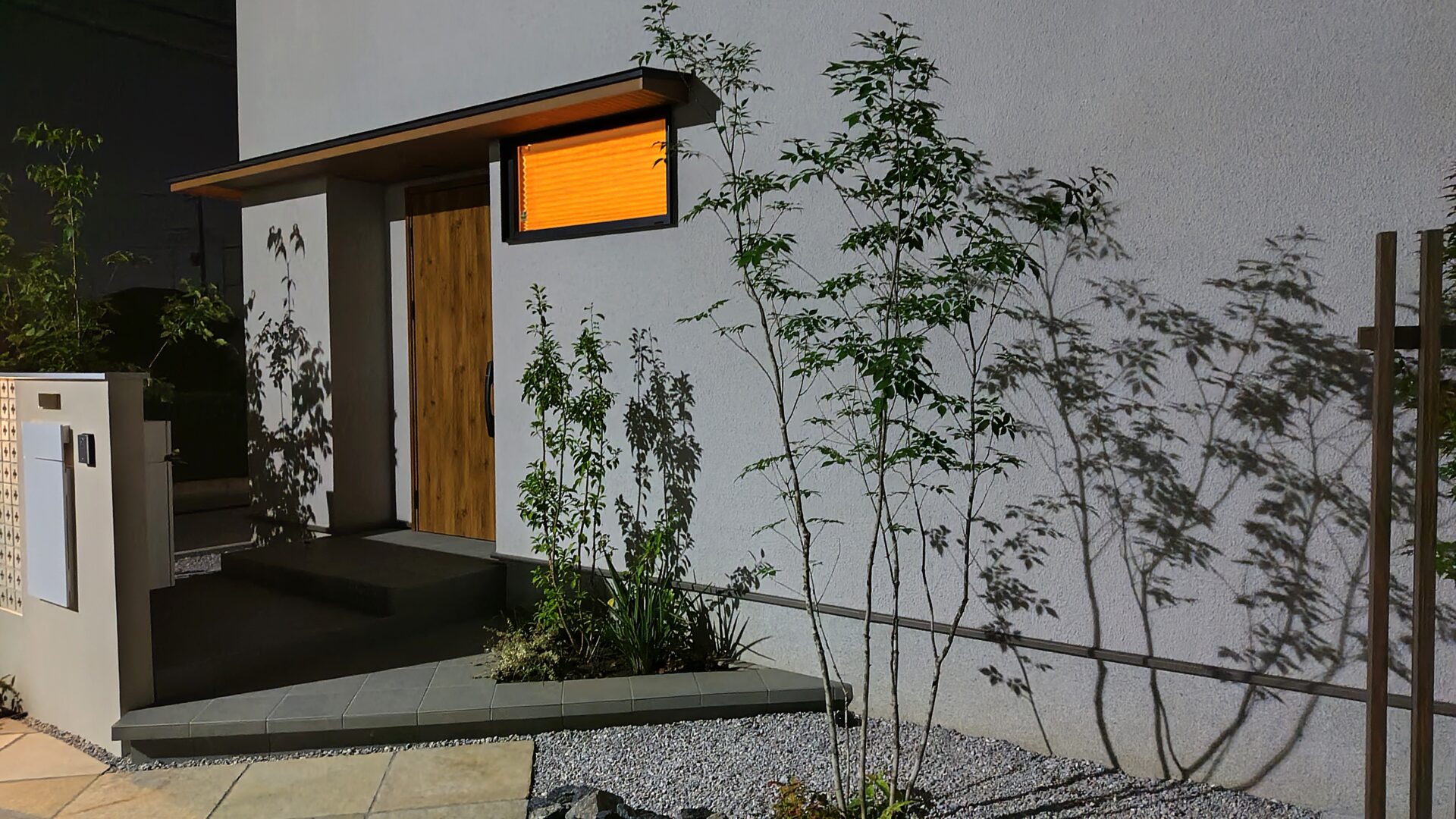 行田市　目隠しフェンスと植栽でつくる優しい暮らしの外構の夜の樹形