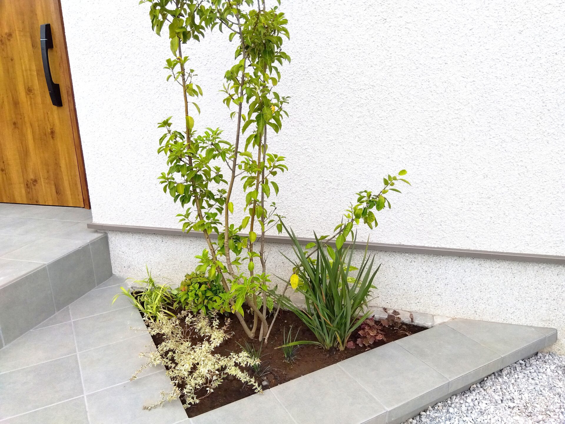 行田市　目隠しフェンスと植栽でつくる優しい暮らしの外構の植栽スペース