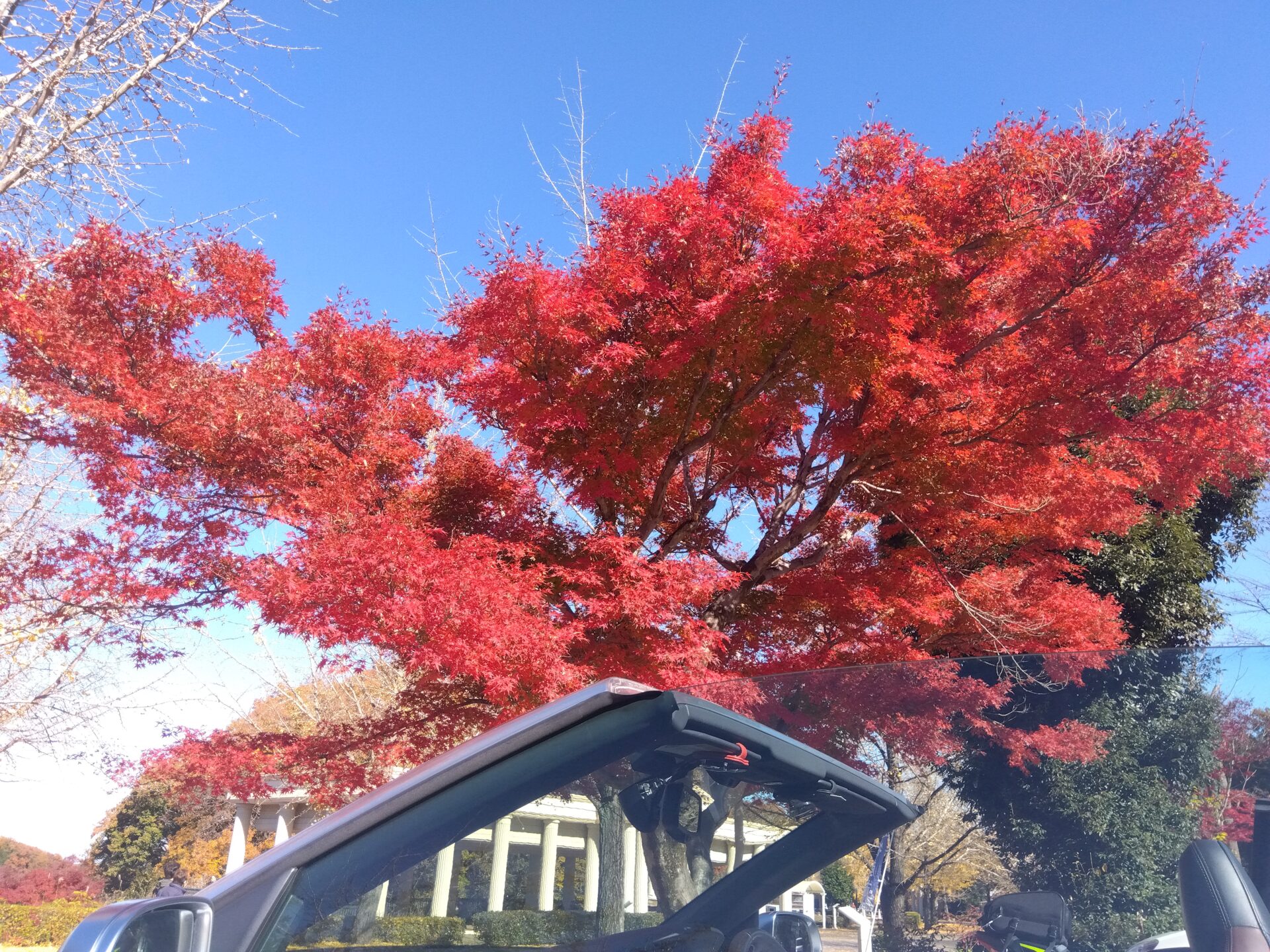 この一瞬だけで・・・