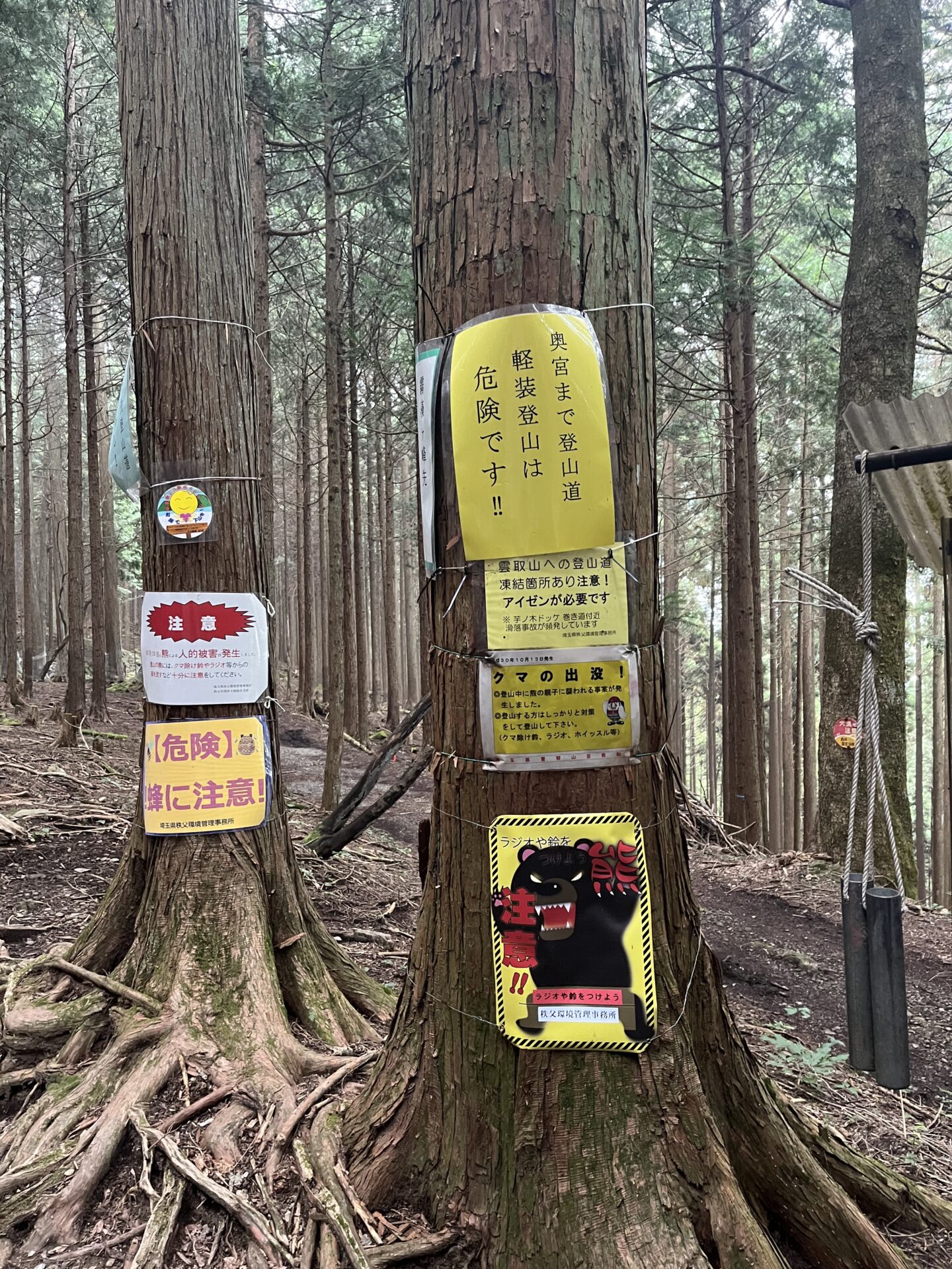 森と＋αお勉強