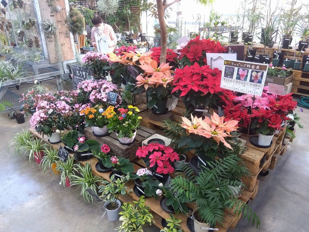 この季節といえば・・・