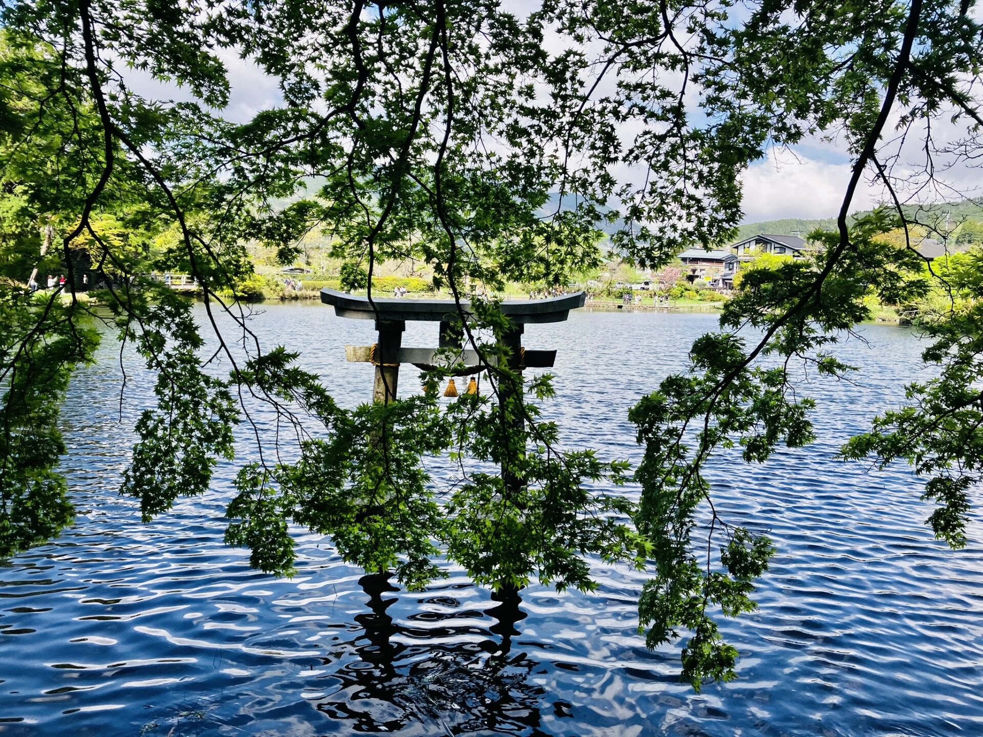 九州名所ツアーで自然も温泉も大満喫！