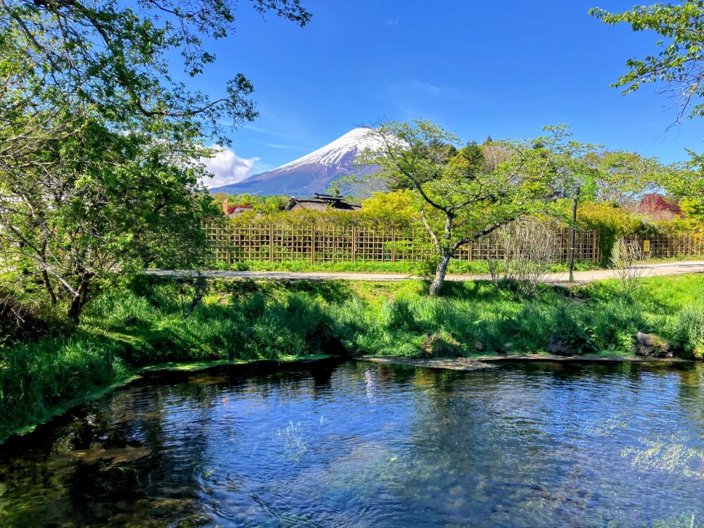 鴻巣市から160km歩いて忍野八海へ