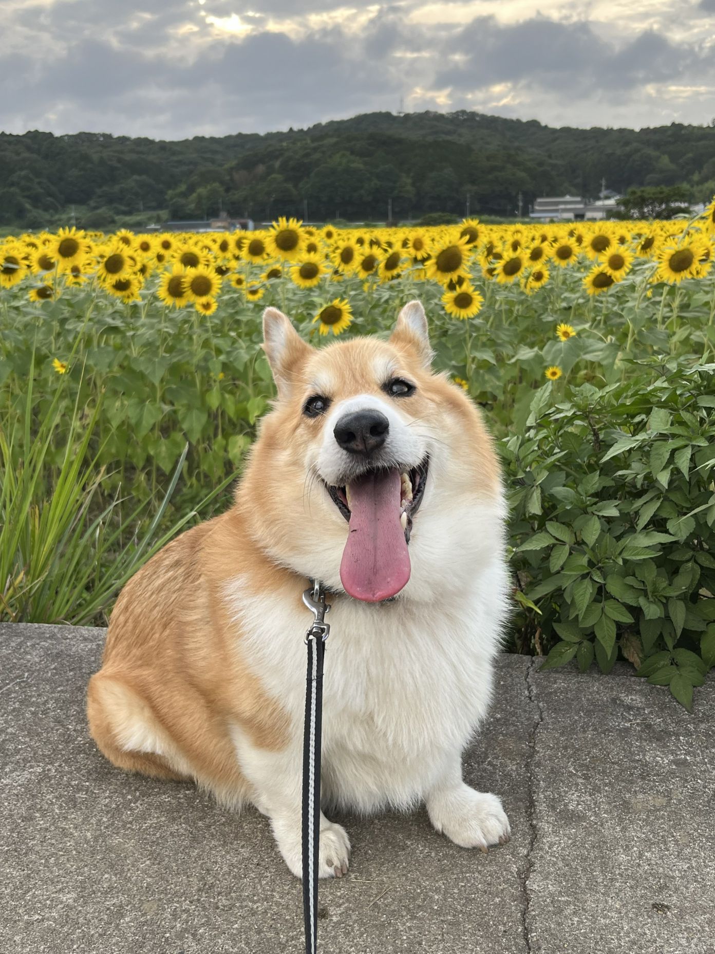 キッズスペース