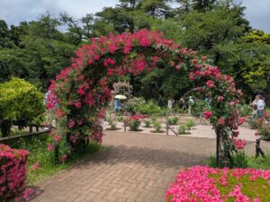 バラ園のアーチ